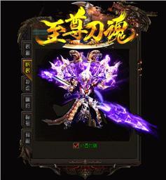 有没有装备是可以增加角色对特定怪物或玩家的伤害加成的？